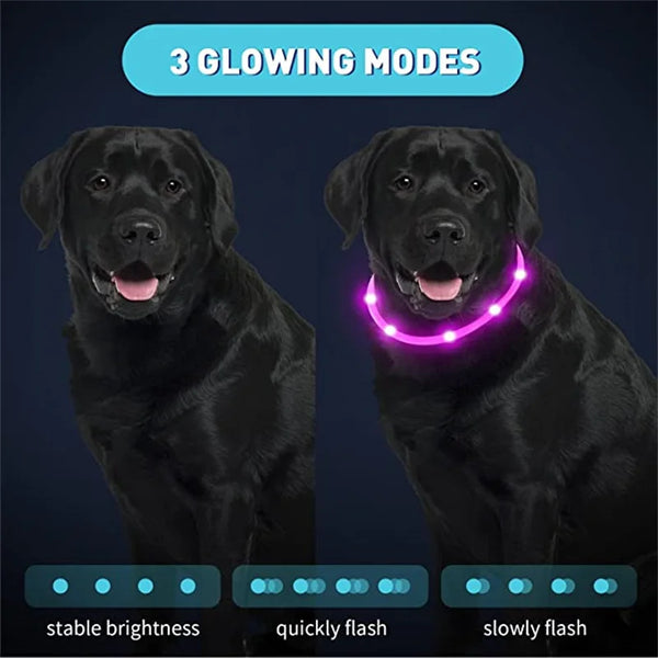 Glow-in-the-Dark Pet Collar