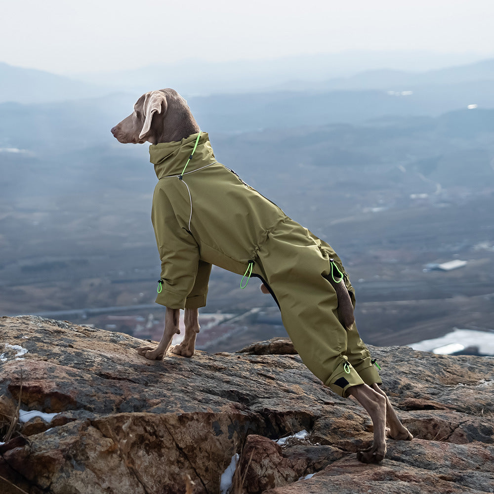 Ultimate Dog Adventure Jacket