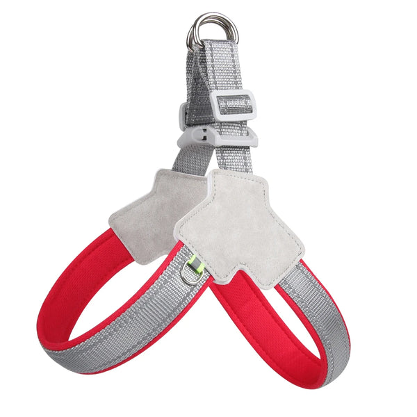 Adventure-Ready Dog Harness