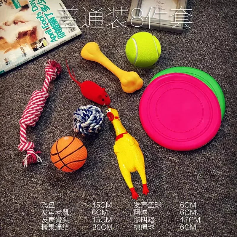 Puppy Playtime Training Kit