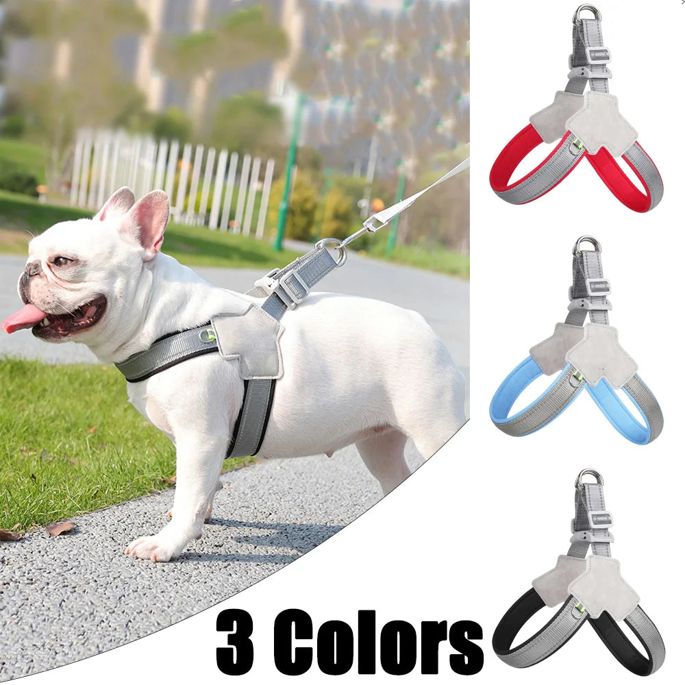 Adventure-Ready Dog Harness