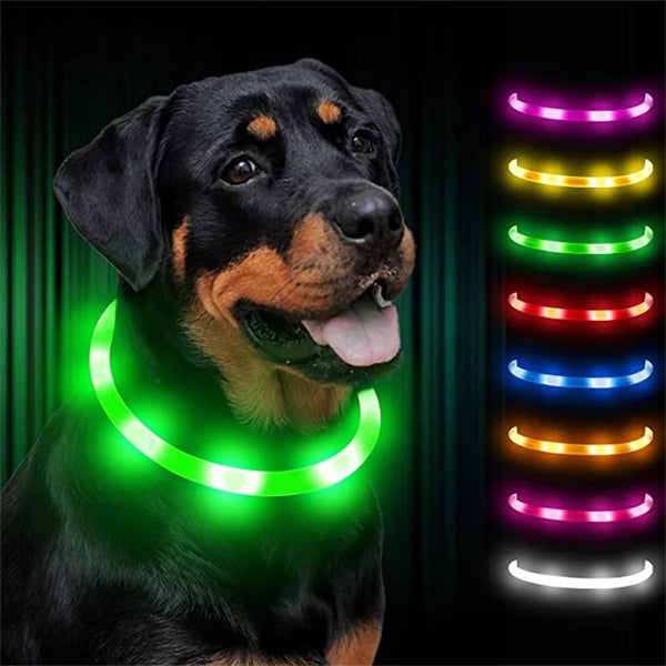 Glow-in-the-Dark Pet Collar