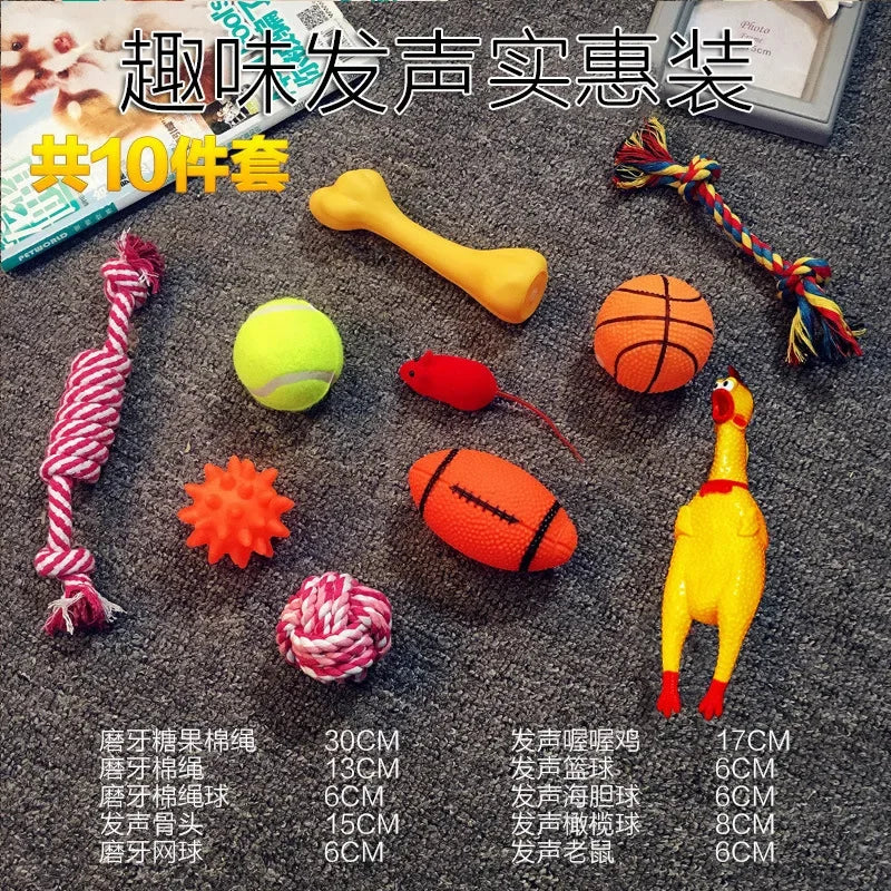 Puppy Playtime Training Kit