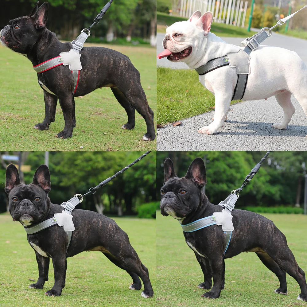 Adventure-Ready Dog Harness