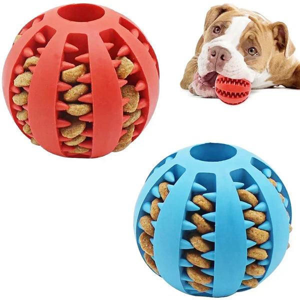 Pet Food Treat Feeder 