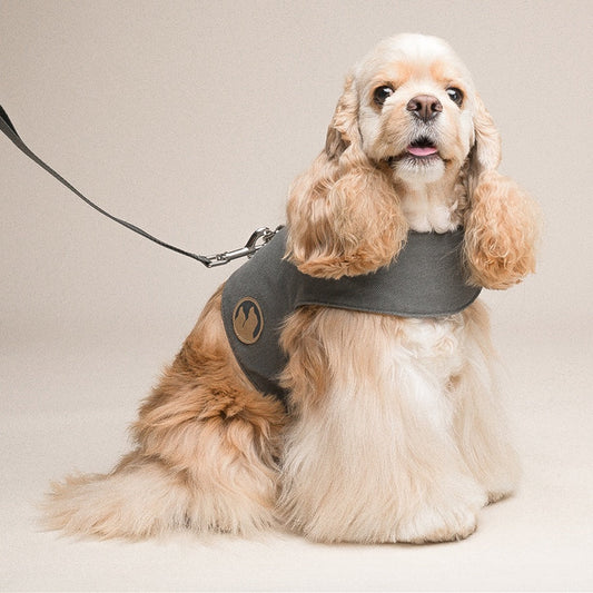 Comfort Paws Dog Harness