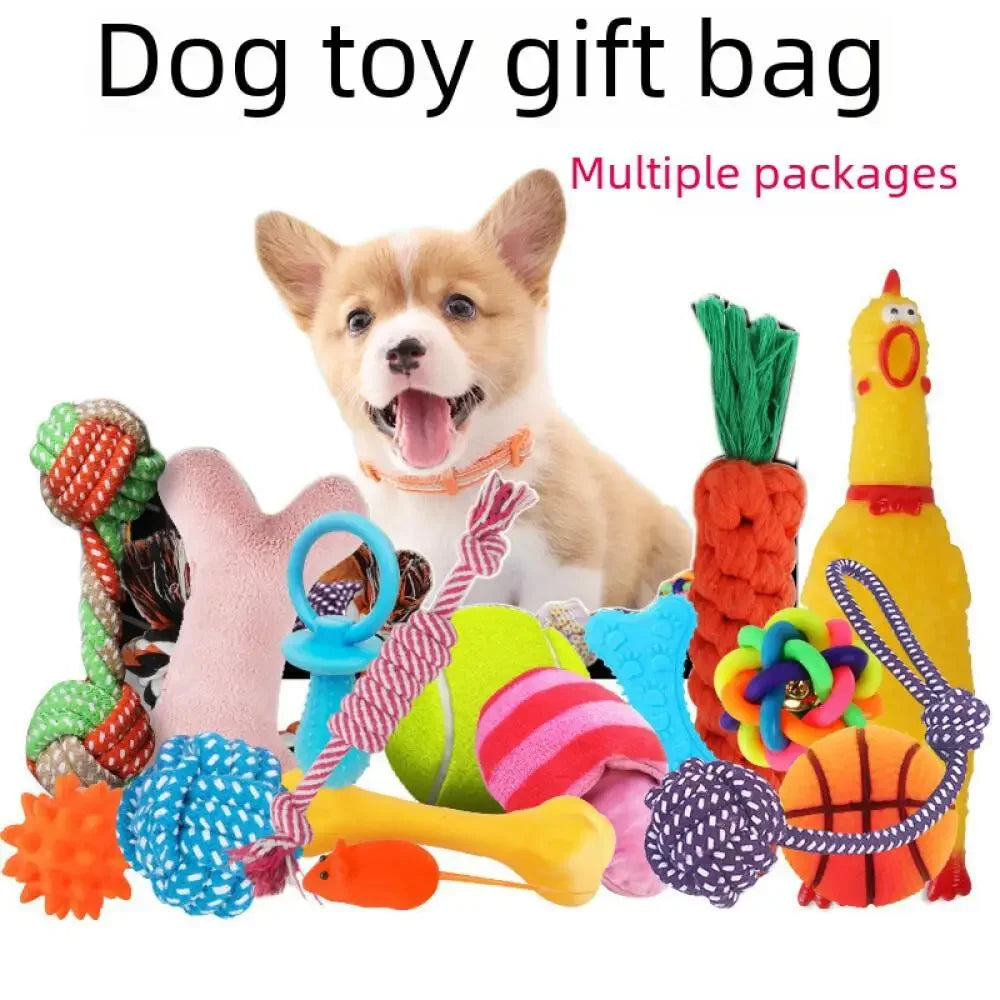 Puppy Playtime Training Kit