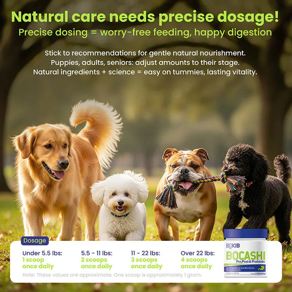 Happy Paws Probiotic Chews