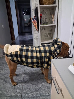 Dog wearing a black and yellow checkered coat standing in a kitchen.