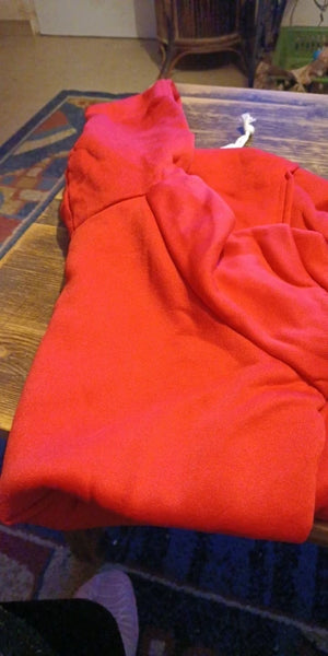 Dog wearing a checkered sweater