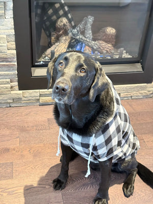 Dog wearing a checkered shirt sitting in front of a fireplace.