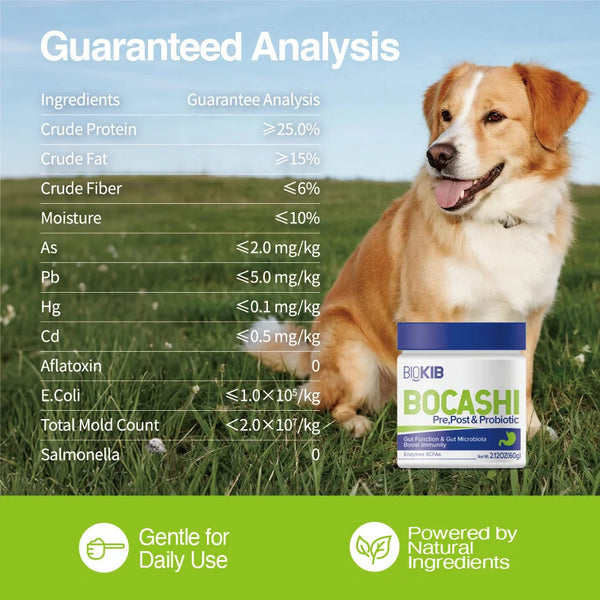 Premium Dog Probiotics