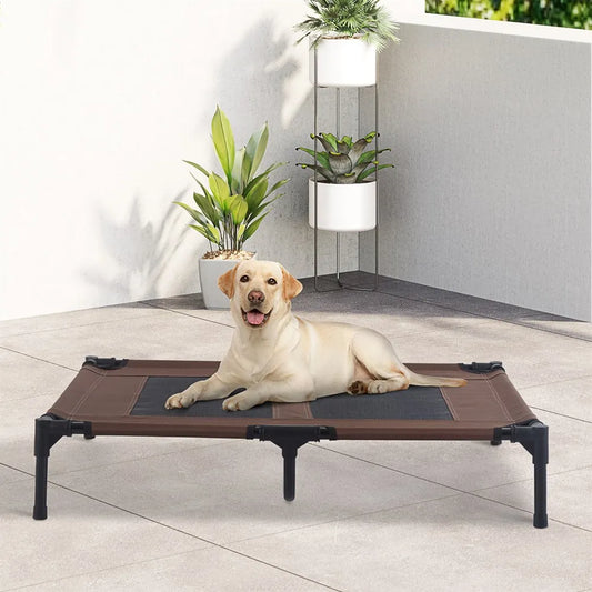 Canine Elevated Bed