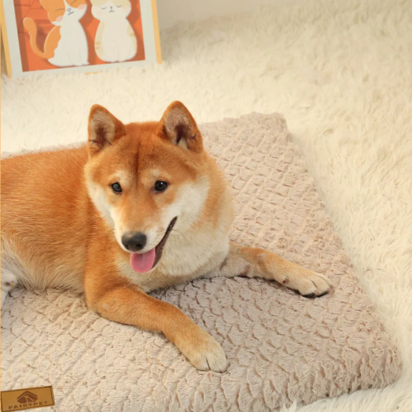 Orthopedic Dog Bed 