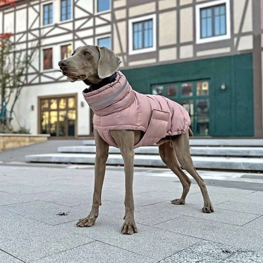 Cozy Pup Winter Vest