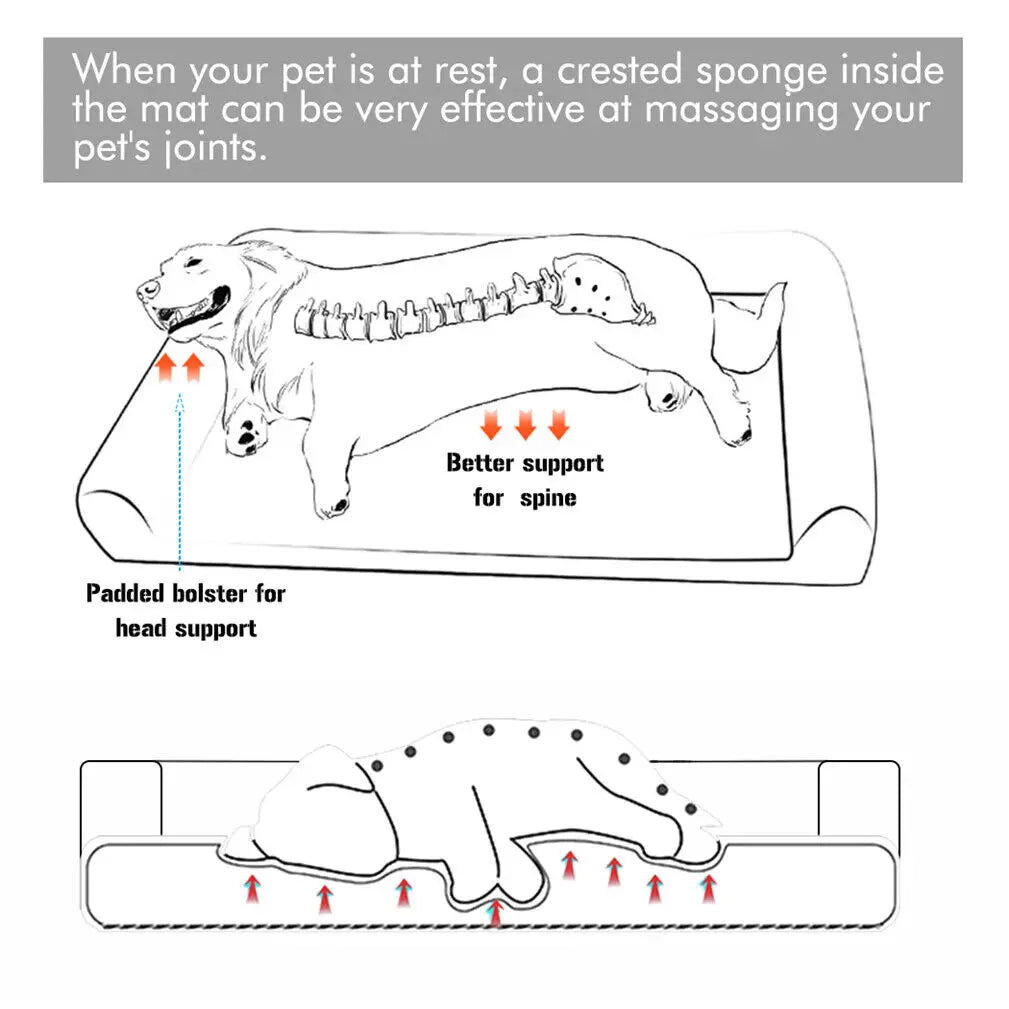  Orthopedic Dog Bed