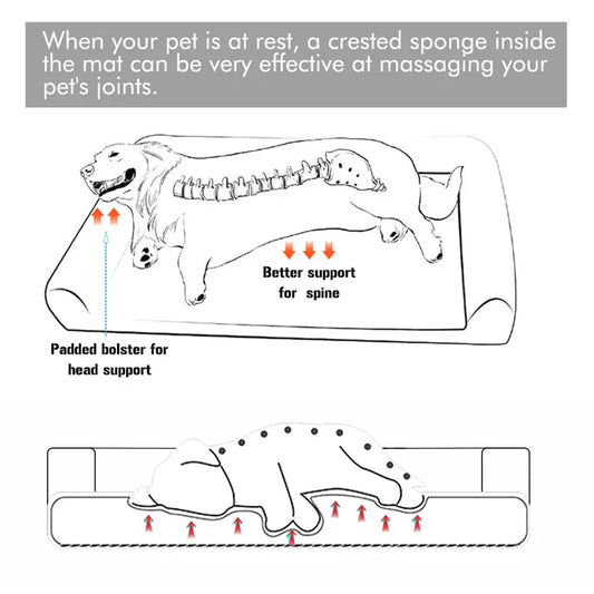  Orthopedic Dog Bed