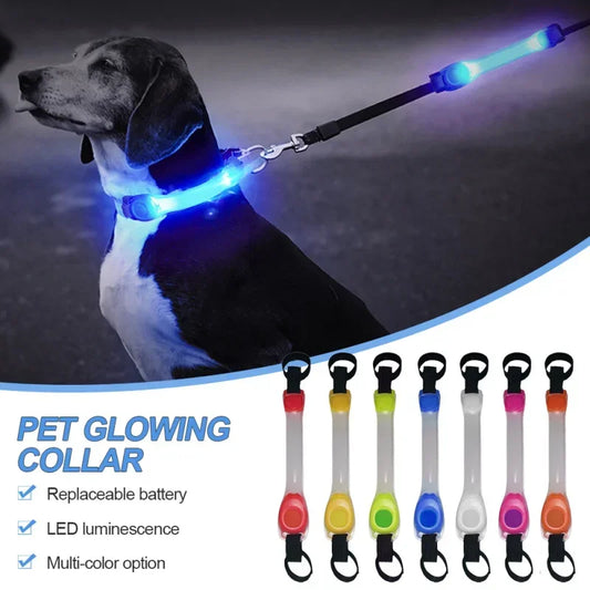 Bright Paws LED Collar