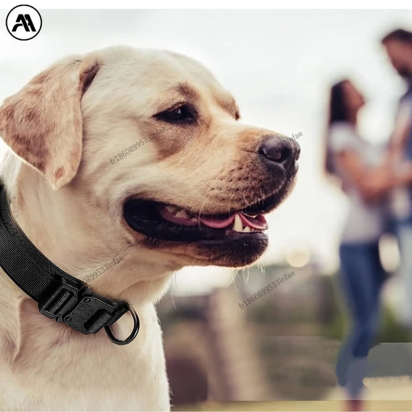 Ultimate Tough Dog Collar