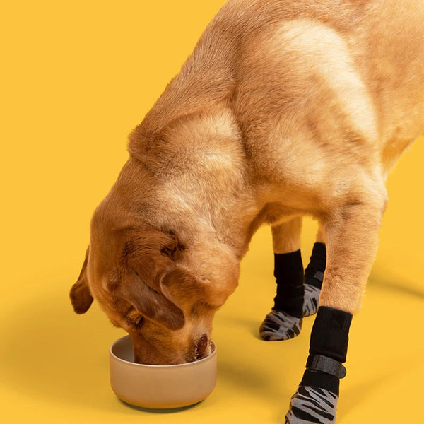 Waterproof Dog Socks Set