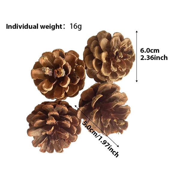 Dog inside a cozy gray pet house 