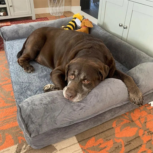 Comfy Orthopedic Dog Bed