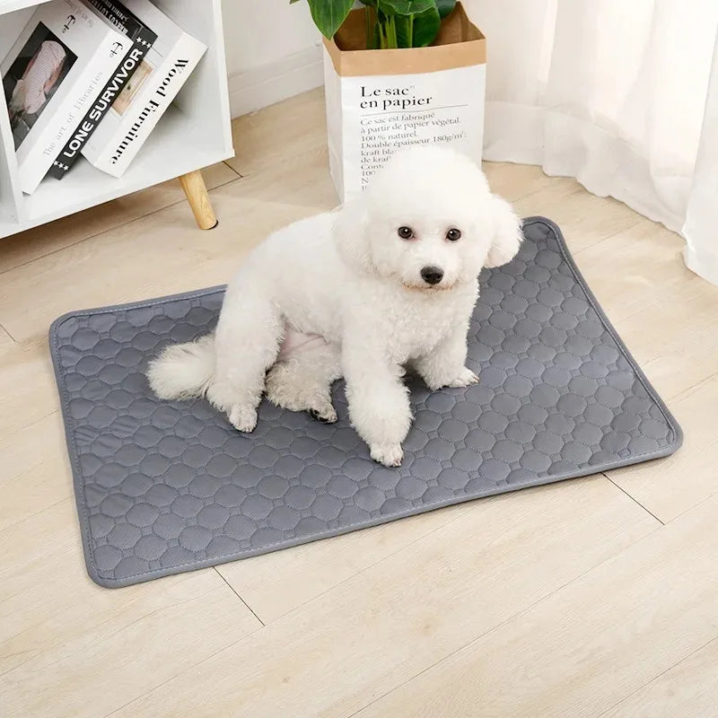 Cozy Paws Dog Pee Pad