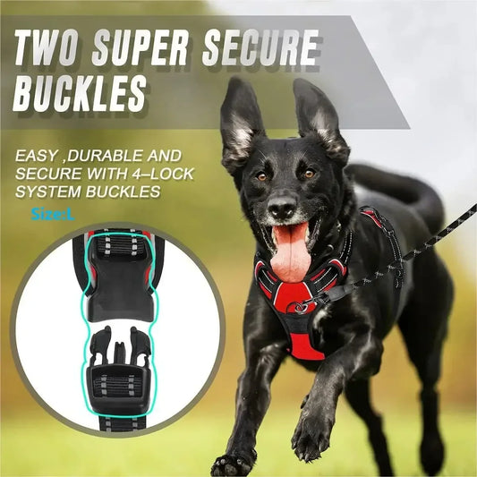 dog-buckles