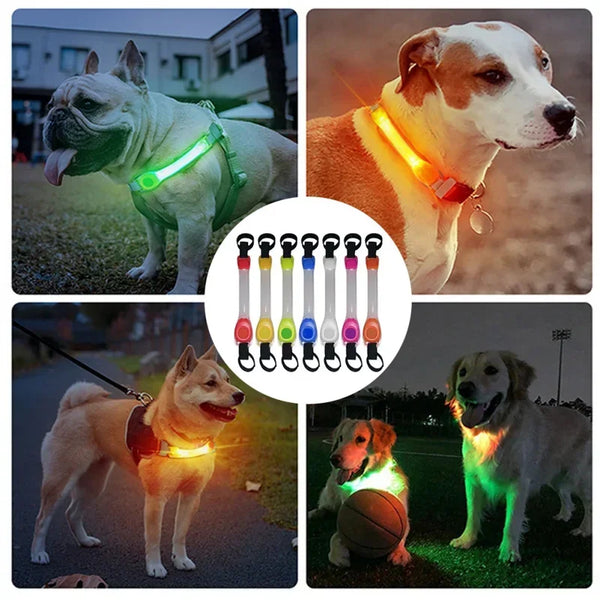Bright Paws LED Collar