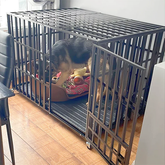 dog-cage