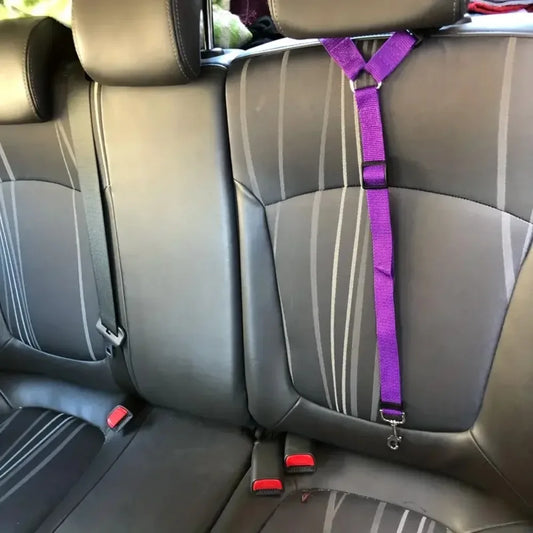 Pet Travel Safety Belt