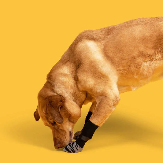 Waterproof Dog Socks