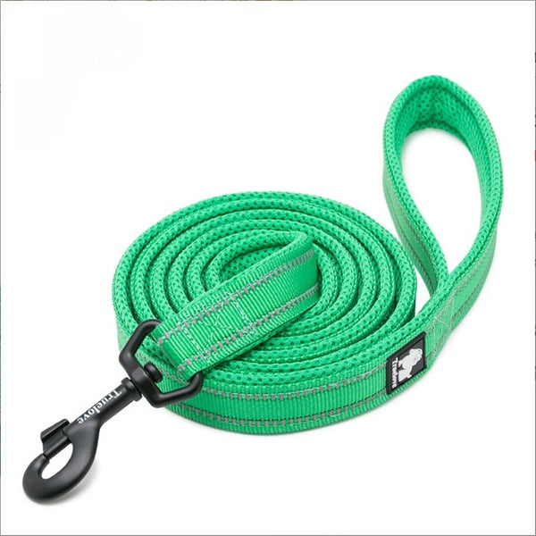Ultimate Dog Adventure Leash