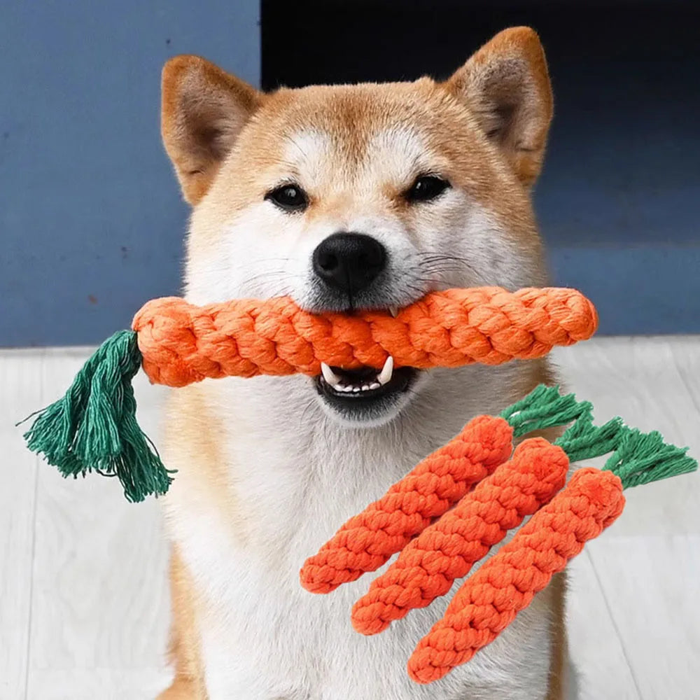 Carrot Chew Rope for Dogs
