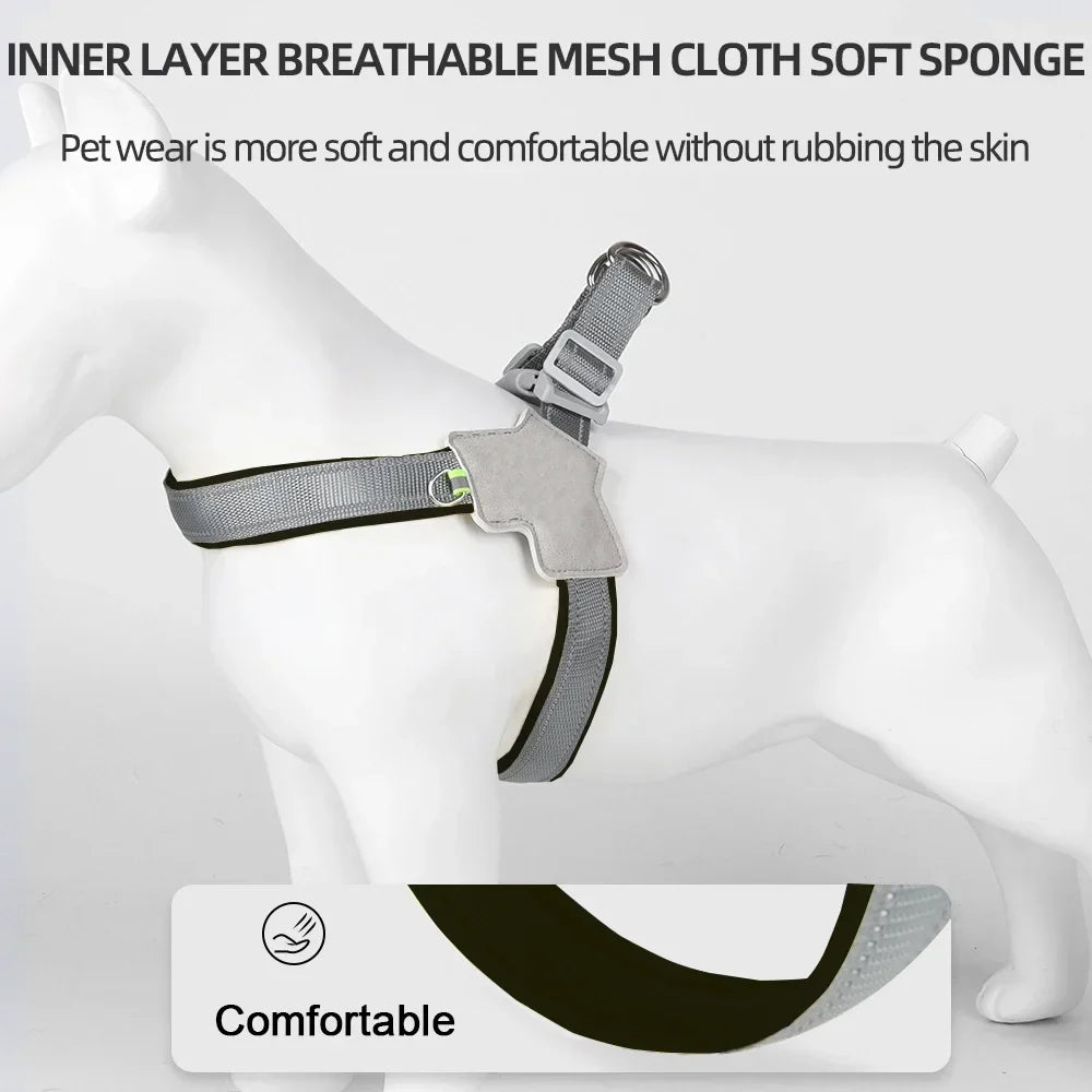 Adventure-Ready Dog Harness