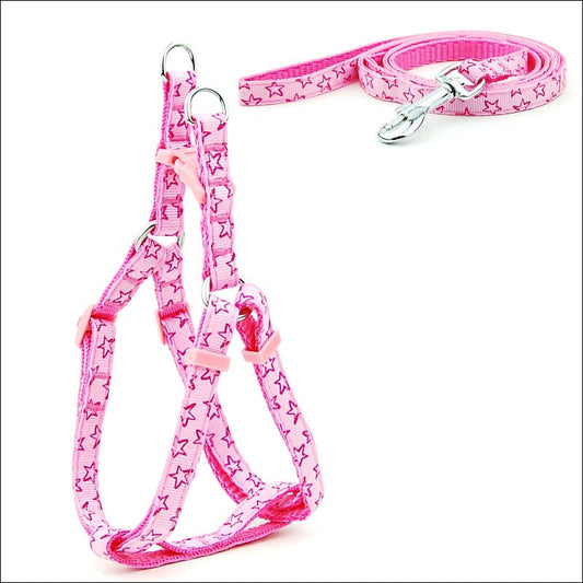 Leash & Harness