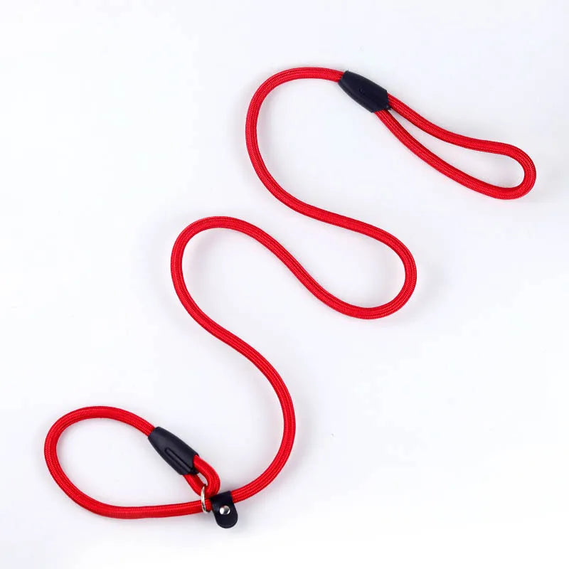 Strong Nylon Dog Leash