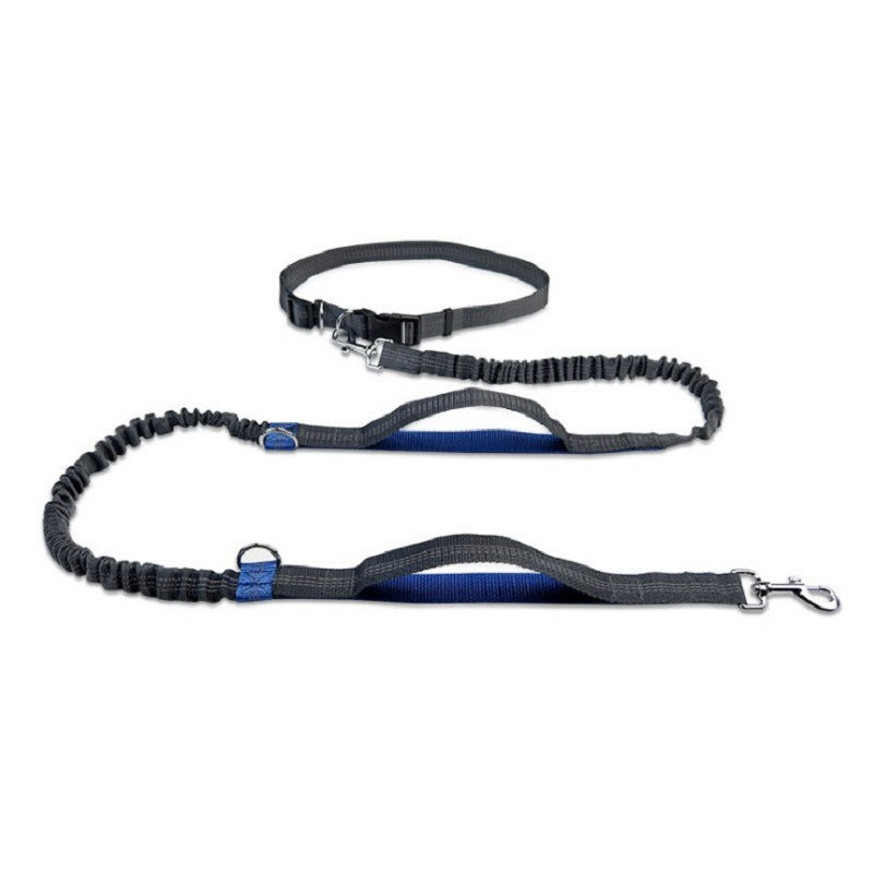 Multi-Use Pet Leash