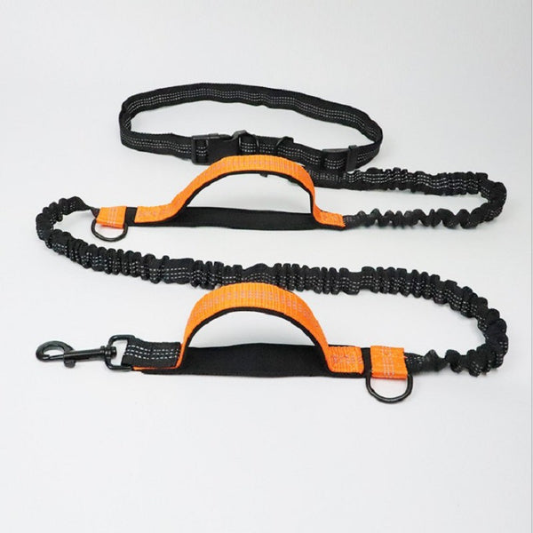 Multi-Use Pet Leash