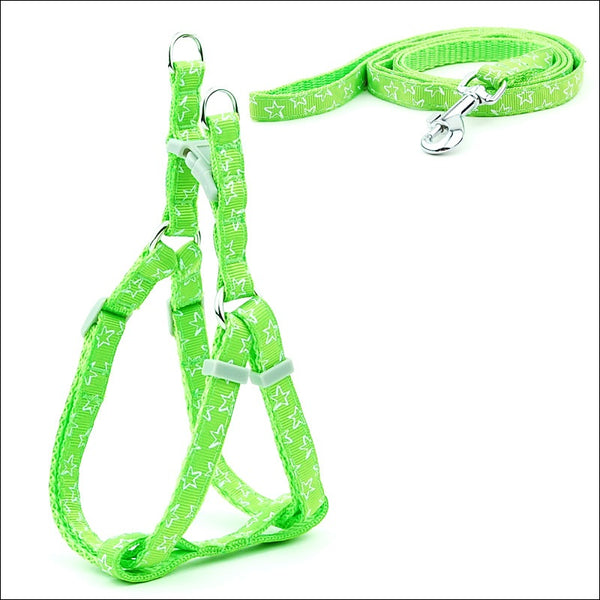  Dot Dog Leash & Harness