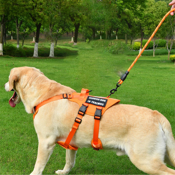 Reflective Service Dog Harness