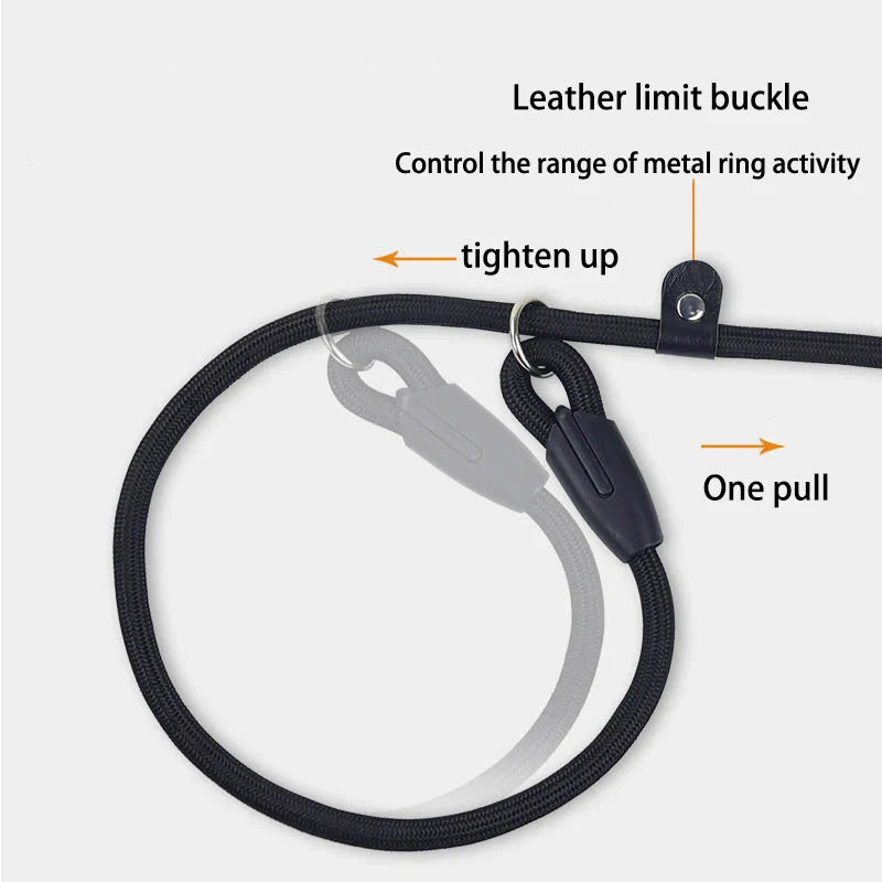 Strong Nylon Dog Leash