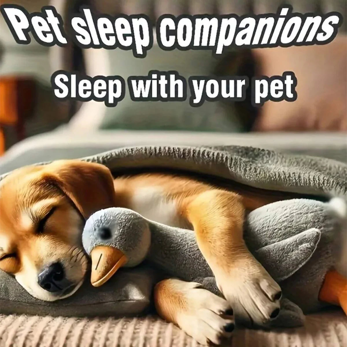 Cozy Duck Friends Set