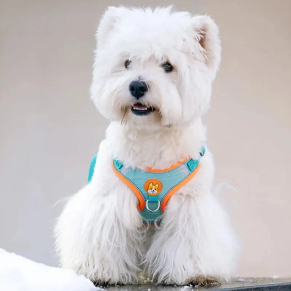 Reflective Comfort Pet Harness