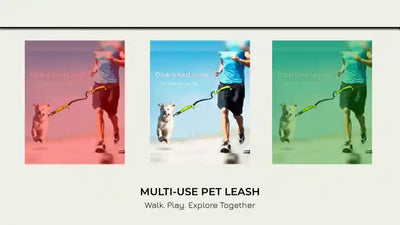 Multi-Use Pet Leash by@Outfy